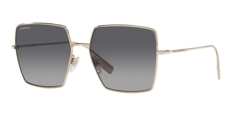 Burberry Daphne Be 3133 (DAPHNE BE 3133_1109-T3_58) Women's EYEWEAR_main
