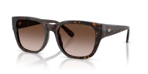Diesel Dl 2005 (DL 2005_202213_53) Unisex EYEWEAR_main