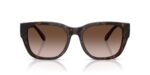Diesel Dl 2005 (DL 2005_202213_53) Unisex EYEWEAR_1