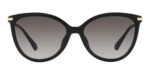 Michael Kors Dupont Mk 2184u (DUPONT MK 2184U_3005-8G A_58) Women's EYEWEAR_1