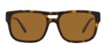 Emporio Armani Ea 4197 (EA 4197_5879-83_57) Men's EYEWEAR_1