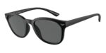 Emporio Armani Ea 4225u (EA 4225U_5001-87_53) Men's EYEWEAR_main