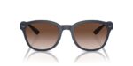 Emporio Armani Ea 4225u (EA 4225U_5088-13_53) Men's EYEWEAR_1