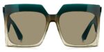 Etro Etro 0002_s (ETRO 0002_S_GTT-QT_60) Women's EYEWEAR_1