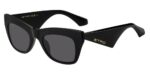 Etro Etro 0004_g_s (ETRO 0004_G_S_807-IR_51) Women's EYEWEAR_main