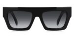 Etro Etro 0049_g_s (ETRO 0049_G_S_807-9O_55) Unisex EYEWEAR_1