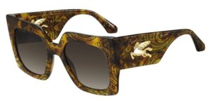 Etro Etro 0075_s (ETRO 0075_S_2VM-HA_53) Women's EYEWEAR_main