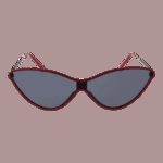 Funky Buddha Fbs2011 55004 (FBS2011 55004) Women's EYEWEAR_1