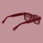 Funky Buddha Fbs2041 48003 (FBS2041 48003) Women's EYEWEAR_2