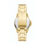 Fossil Blue Dive (FS6030) Men's Watch_2