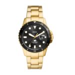 Fossil Blue Dive (FS6035)  Watch_main