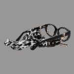 Guess Gu2885 52001 (GU2885 52001) Women's EYEWEAR_2