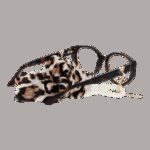 Guess Gu2885 52053 (GU2885 52053) Women's EYEWEAR_2