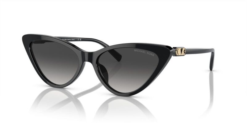 Michael Kors Harbour Island Mk 2195u (HARBOUR ISLAND MK 2195U_3005-8G A_56) Women's EYEWEAR_main