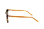 Hackett Bespoke Heb205 416 53 17 145 (HEB205 416 53 17 145) Men's EYEWEAR_2