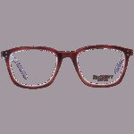 Hackett Bespoke Heb254 53152 (HEB254 53152) Men's EYEWEAR_1