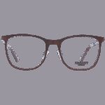 Hackett Hek124 53176 (HEK124 53176) Men's EYEWEAR_1