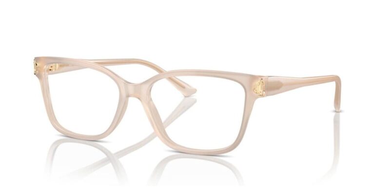Jimmy Choo Jc 3012 (JC 3012_5025_53) Women's EYEWEAR_main