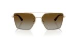 Jimmy Choo Jc 4016hb (JC 4016HB_3006T5_58) Women's EYEWEAR_1