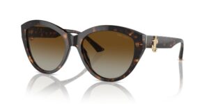 Jimmy Choo Jc 5007 (JC 5007_5002T5_55) Women's EYEWEAR_main