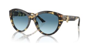 Jimmy Choo Jc 5007 (JC 5007_500419_55) Women's EYEWEAR_main