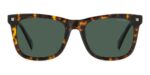 Polaroid Pld 4167_s_x (PLD 4167_S_X_086-UC_53) Unisex EYEWEAR_1