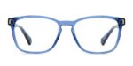 Polaroid Pld D462 (PLD D462_PJP_54) Unisex EYEWEAR_1