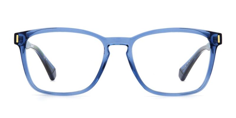 Polaroid Pld D462 (PLD D462_PJP_54) Unisex EYEWEAR_1