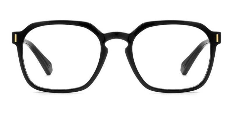 Polaroid Pld D482 (PLD D482_807_53) Unisex EYEWEAR_1