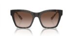 Dolce & Gabbana Print Family Dg 4384 (PRINT FAMILY DG 4384_3217-73 A_53) Women's EYEWEAR_1