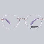 Reebok R7006 5002 (R7006 5002) Unisex EYEWEAR_1
