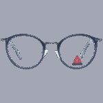 Reebok R8510 4903 (R8510 4903) Unisex EYEWEAR_1