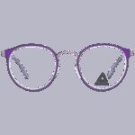 Reebok R9521 4602 (R9521 4602) Unisex EYEWEAR_1