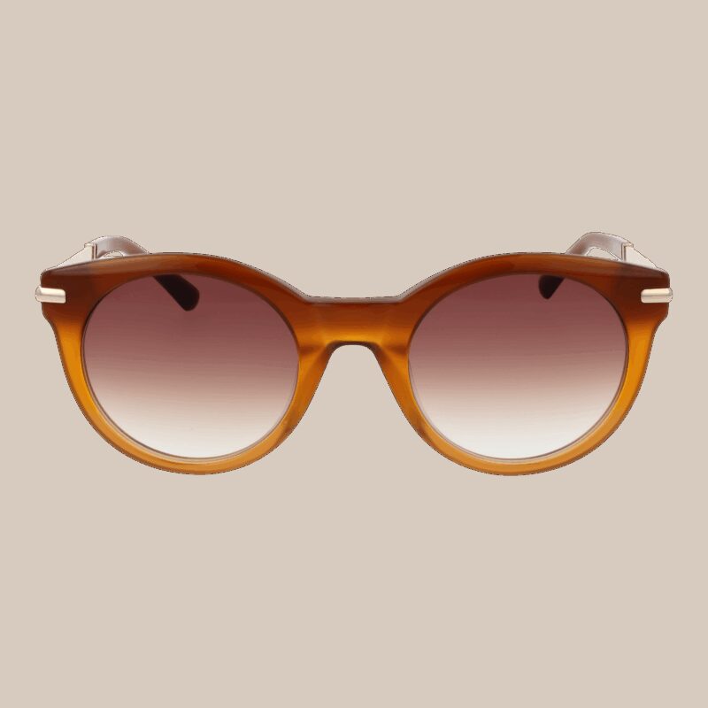 Sandro Paris Women's Sunglasses (SD6049 51104) - Image 6