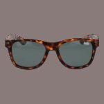 Superdry Sds-alfie 55102p (SDS-ALFIE 55102P) Men's EYEWEAR_1