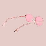 Skechers Se6273 5228h (SE6273 5228H) Women's EYEWEAR_2