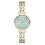 Skagen Denmark Watches Skw3132 (SKW3132)  Watch_main