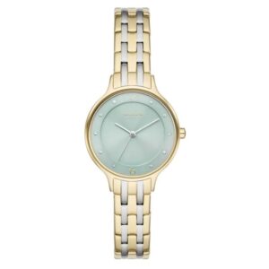 Skagen Denmark Watches Skw3132 (SKW3132)  Watch_main
