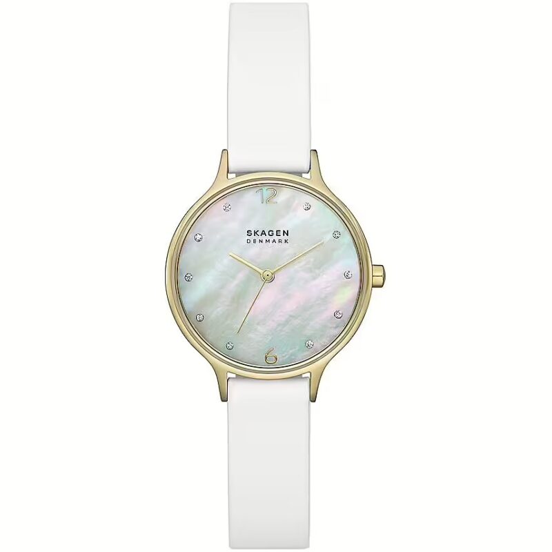 Skagen Denmark Watches Skw3138 (SKW3138)  Watch_main