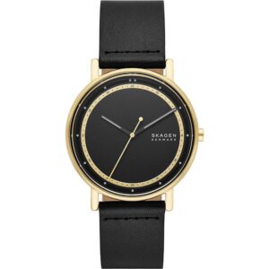 Skagen Signatur (SKW6897) Men's Watch_main