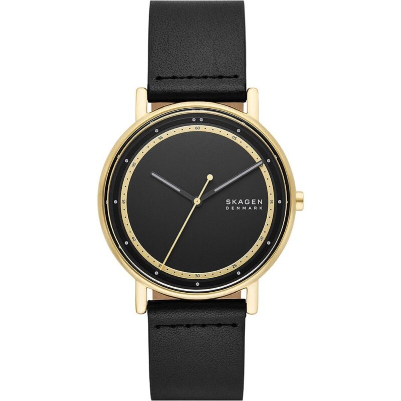 Skagen Signatur (SKW6897) Men's Watch_main