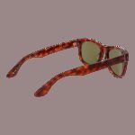 Serengeti Ss550001 Foyt (SS550001 Foyt) Men's EYEWEAR_2