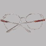 Ted Baker Tb2299 55400 (TB2299 55400) Women's EYEWEAR_2