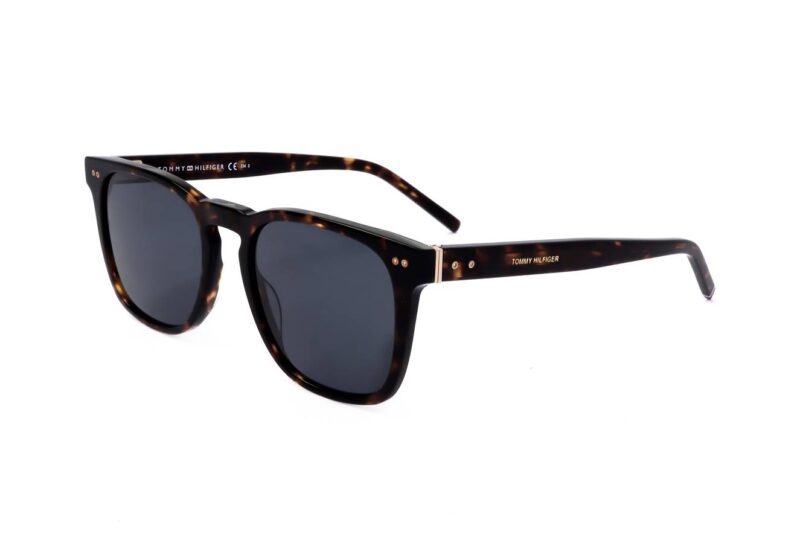 Tommy Hilfiger Sunglasses Th 1887_s Havana (TH 1887_S-086 52-19-150) Men's EYEWEAR_main