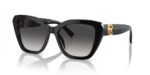 Ralph Lauren The Isabel Rl 8216u (THE ISABEL RL 8216U_5001-8G B_55) Women's EYEWEAR_main