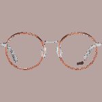 Web We5274 4916a (WE5274 4916A) Men's EYEWEAR_1