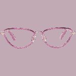 Web We5294 53033 (WE5294 53033) Women's EYEWEAR_1