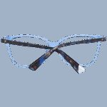 Web We5321 55086 (WE5321 55086) Women's EYEWEAR_2