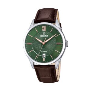 Festina Classics (F20426_8)  Watch_main