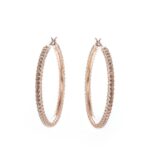 Swarovski 5383938 (5383938) Women's JEWELRY